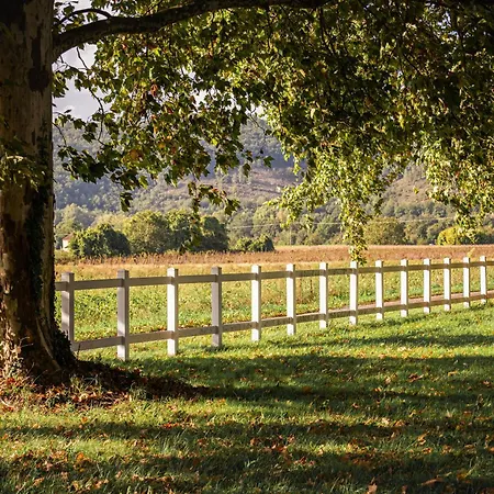Chateau La Gineste - Castle And Vineyard 롯지