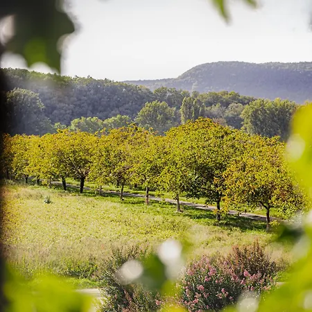 Chateau La Gineste - Castle And Vineyard 롯지 *