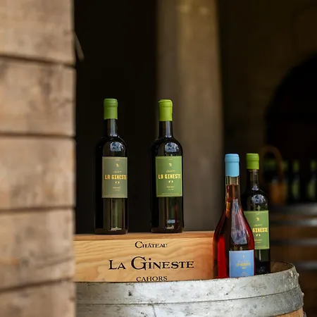 Chateau La Gineste - Castle And Vineyard 롯지 *