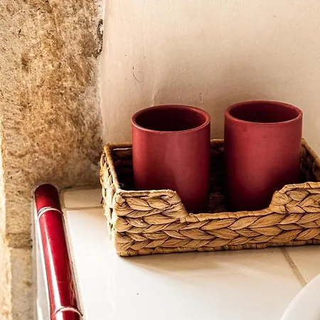 Chateau La Gineste - Castle And Vineyard *