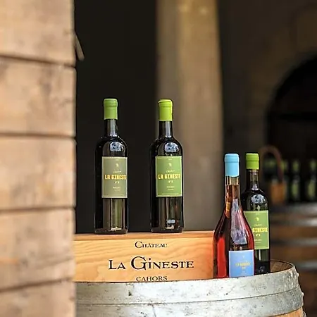 Chateau La Gineste - Castle And Vineyard Jaktstuga