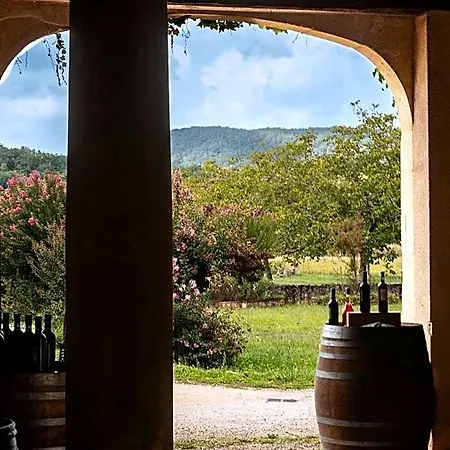 Chateau La Gineste - Castle And Vineyard