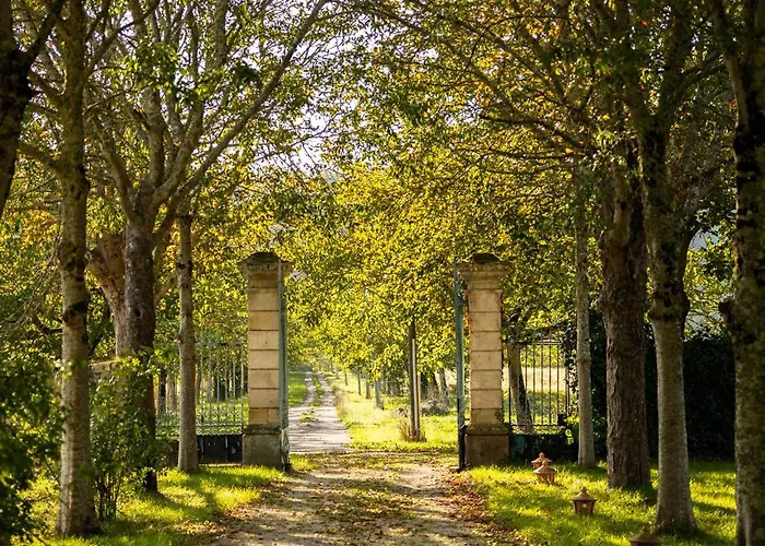 Chateau La Gineste - Castle And Vineyard 롯지