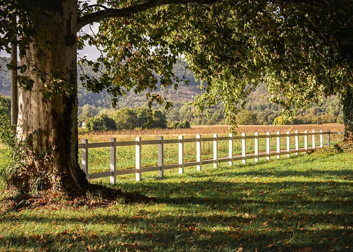 Chateau La Gineste - Castle And Vineyard Lodge